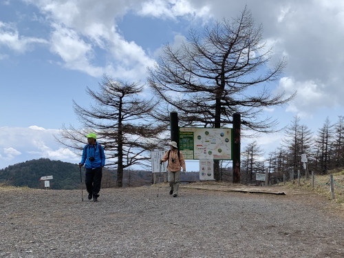 b0330040_19474668.jpeg