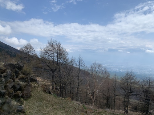 b0330040_19521616.jpeg