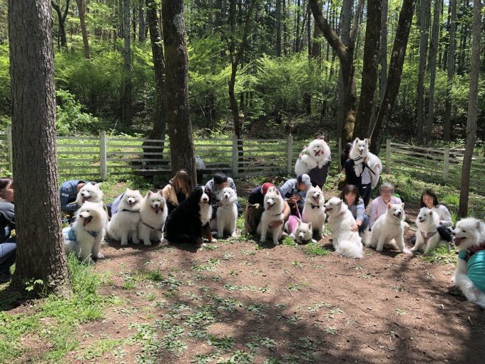 2019年5月 合同お誕生日オフ in 八ヶ岳 その1_f0128542_02000603.jpg