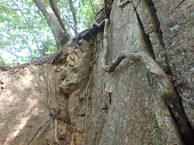 f0334143_210519.jpg