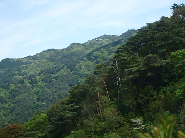 f0334143_2124920.jpg