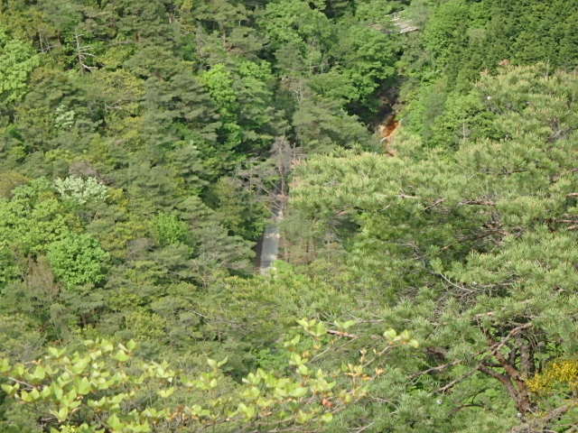 f0334143_2135881.jpg