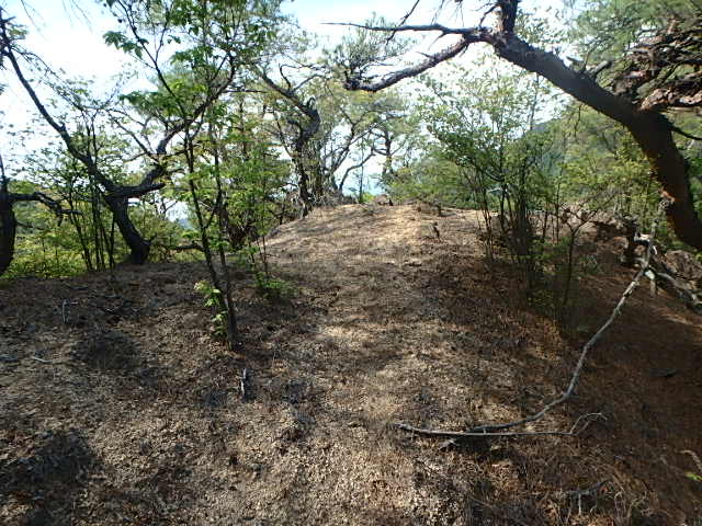 f0334143_2142974.jpg