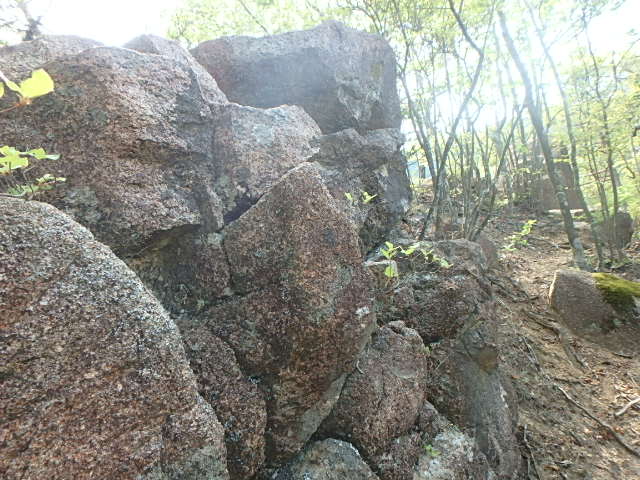 f0334143_2151936.jpg