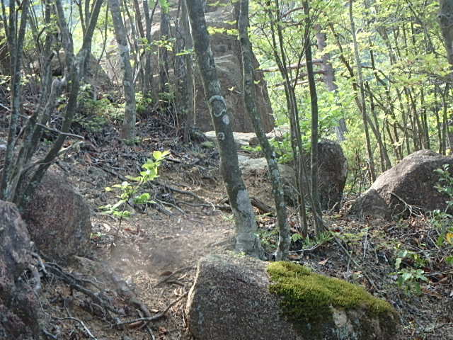 f0334143_2153250.jpg