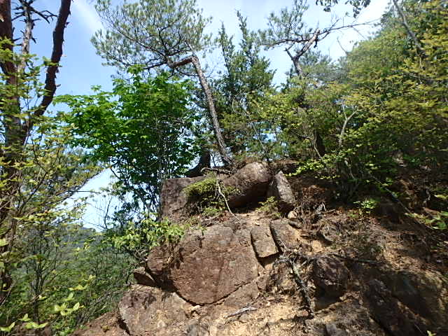 f0334143_215501.jpg