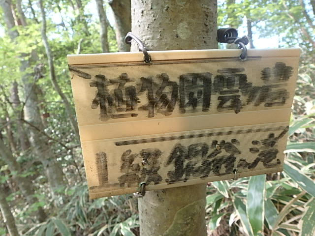 f0334143_6492472.jpg