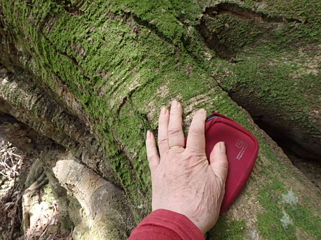 f0334143_6524810.jpg