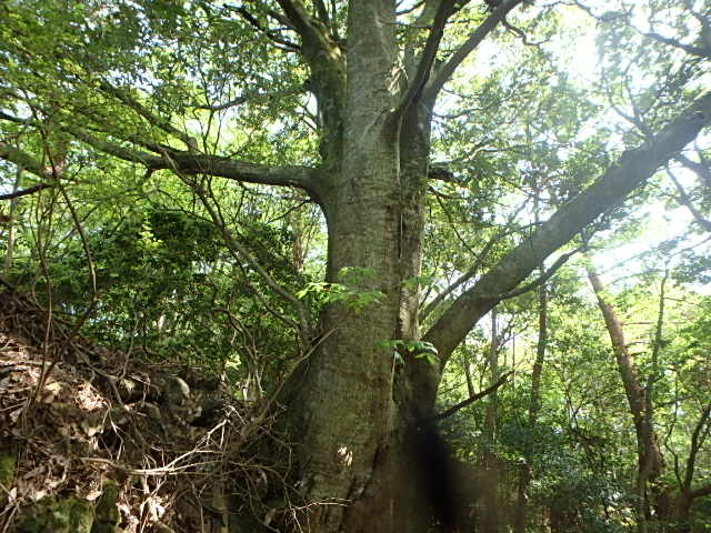 f0334143_655771.jpg