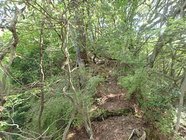 f0334143_6574863.jpg
