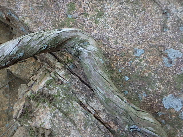 f0334143_6585473.jpg