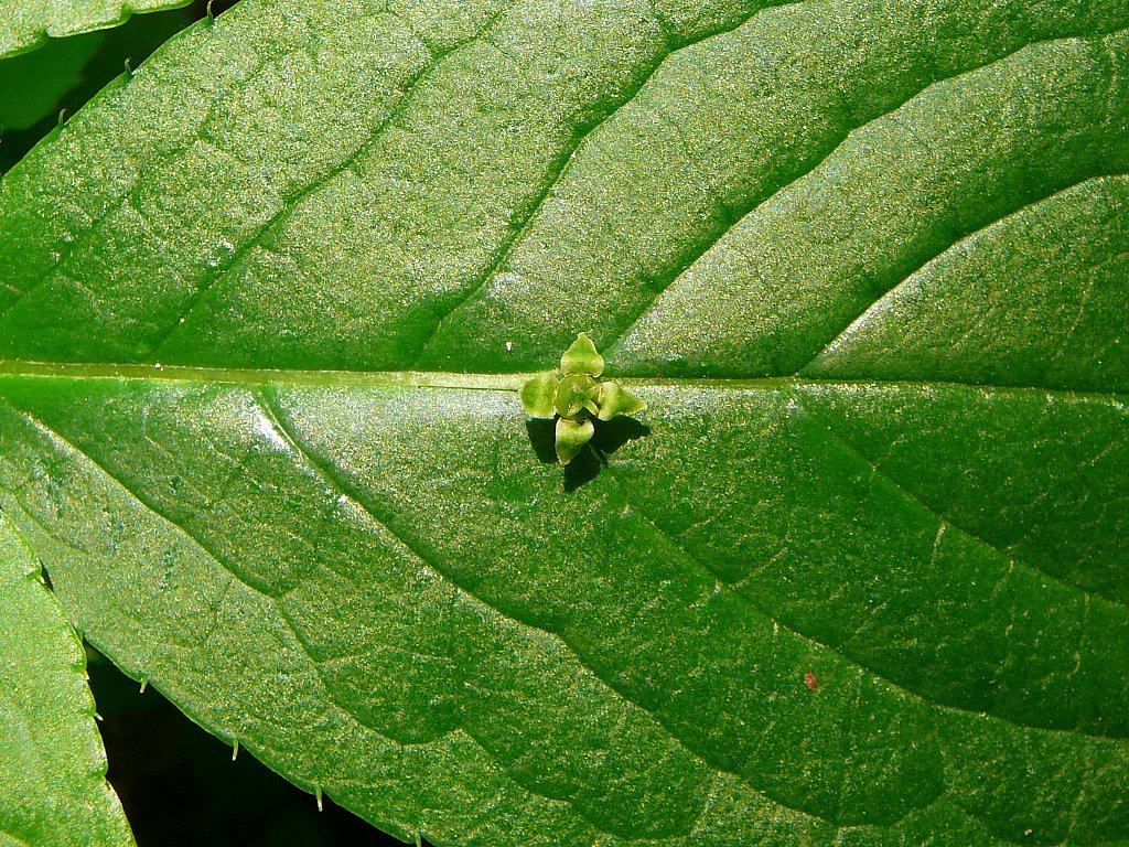 天気上々だが青い鳥へ！_b0404848_05574293.jpg