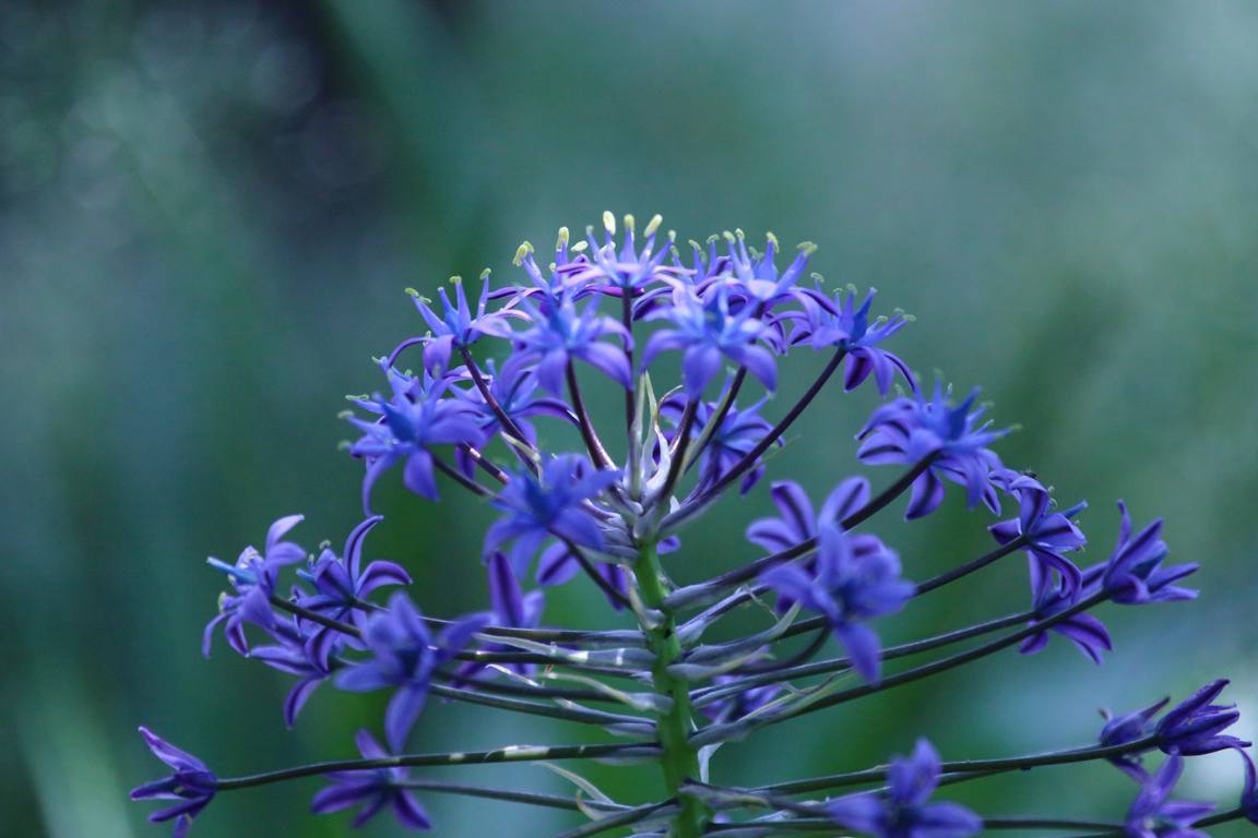 e0403850_12010966.jpg