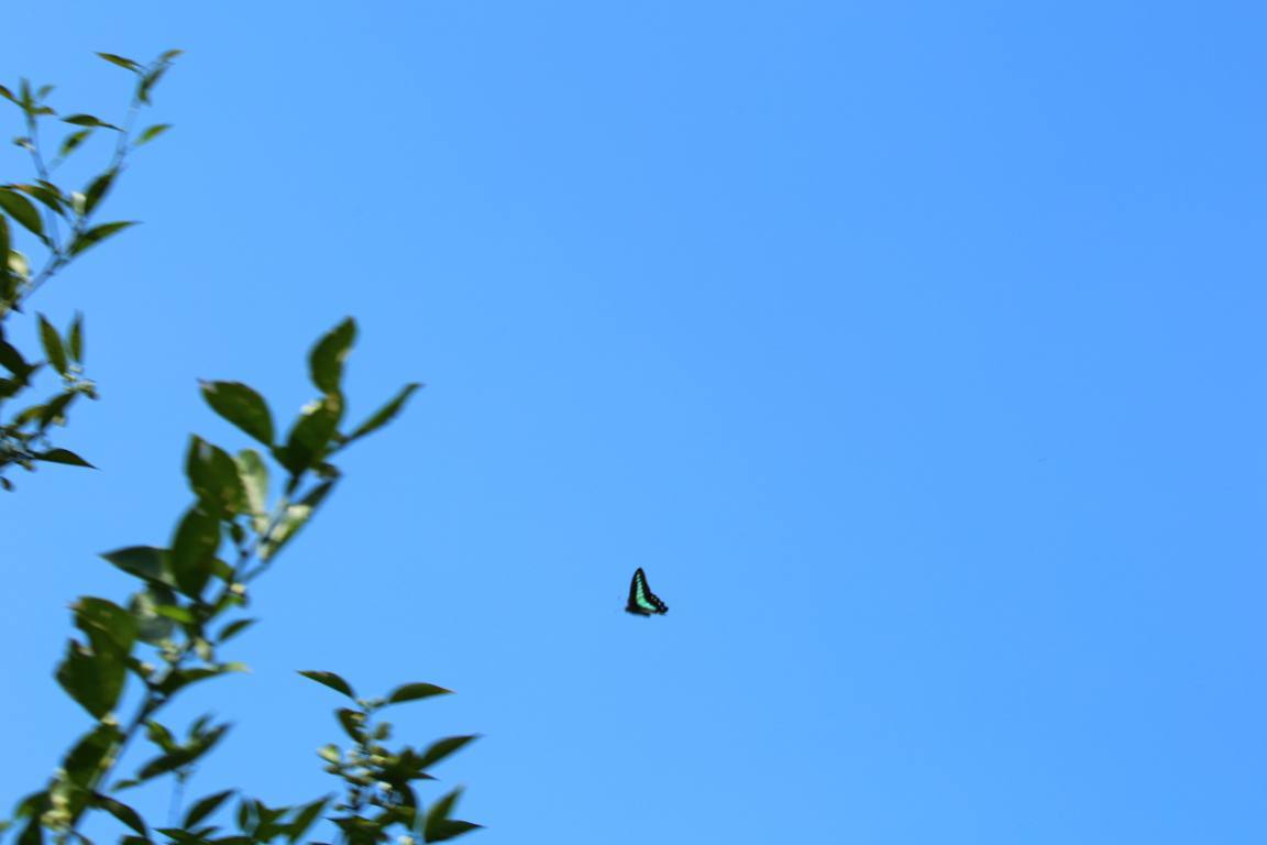 e0403850_12010991.jpg