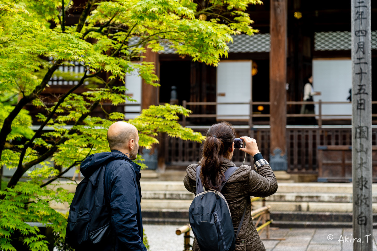 &#127808; 新緑 2019 -3- 永観堂 &#127808;_f0152550_16352198.jpg