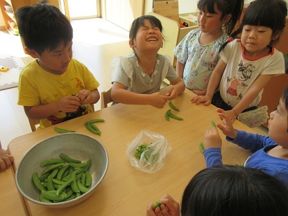 スナップえんどう　美味しかったよ＼(^o^)／_e0166251_13593624.jpg