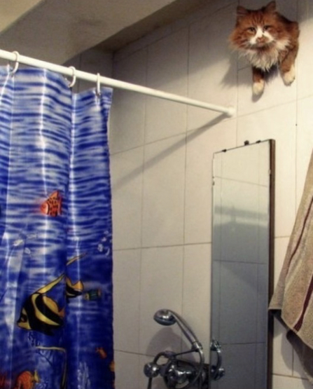a0203754_20082549.jpeg
