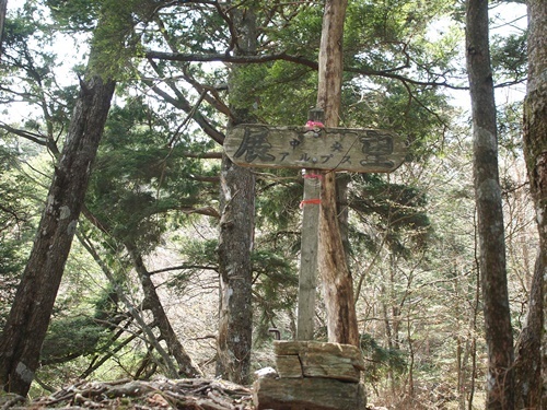 木曽・風越山(1,699m)2019年5月13日_b0319255_15482998.jpg