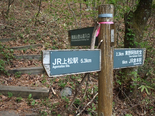 木曽・風越山(1,699m)2019年5月13日_b0319255_16033627.jpg