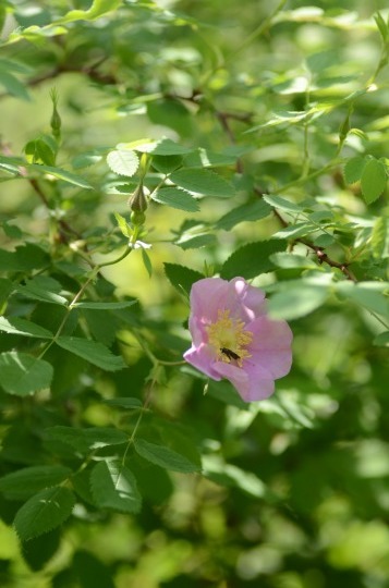 c0186463_00022820.jpg