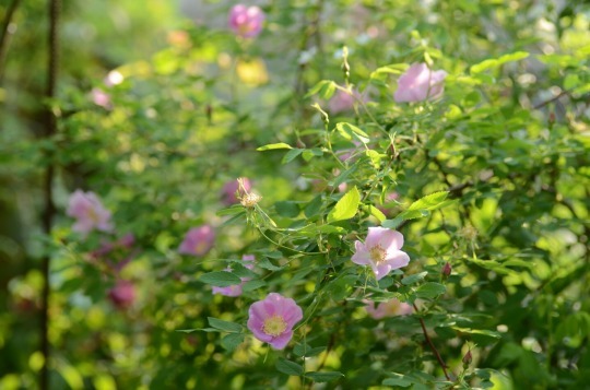 c0186463_00031376.jpg