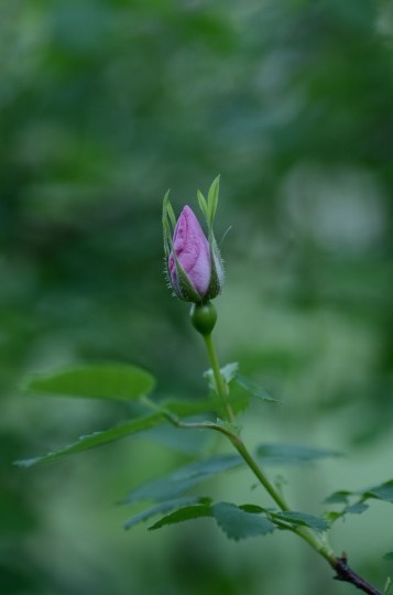 c0186463_00033559.jpg