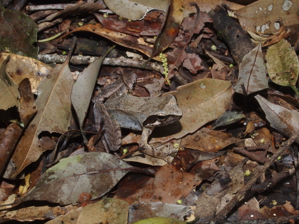 b0135573_21530060.jpg