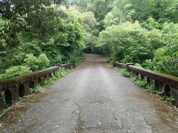 b0135573_21561505.jpg