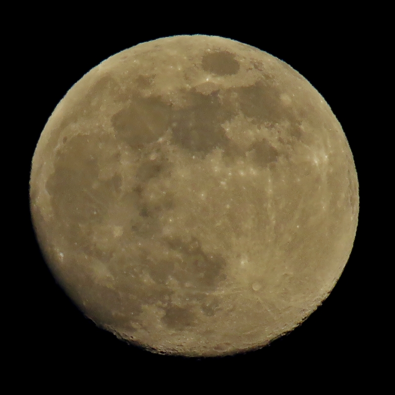 c0183777_19143136.jpg