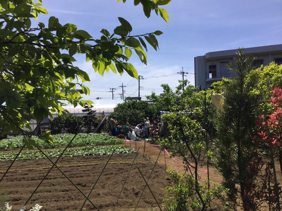 2019年5月18日(土)みんなの畑•川辺農園〜小屋の移動〜_c0091679_09105778.jpeg