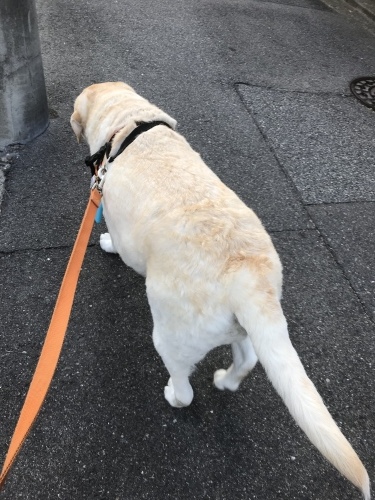 f0315081_23064012.jpeg