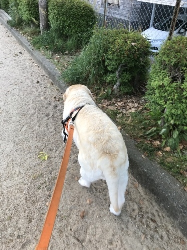 f0315081_23071755.jpeg