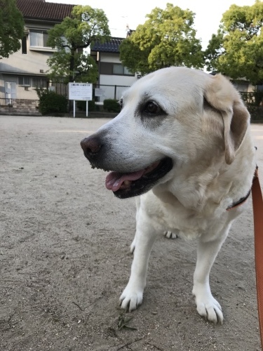 f0315081_23082582.jpeg