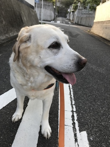 f0315081_23120857.jpeg