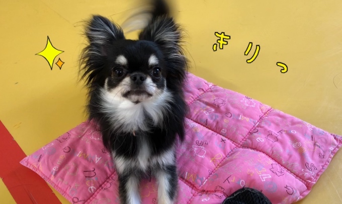 トレーニングブログ_f0357682_21182740.jpeg