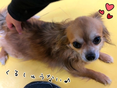トレーニングブログ_f0357682_21192989.jpeg