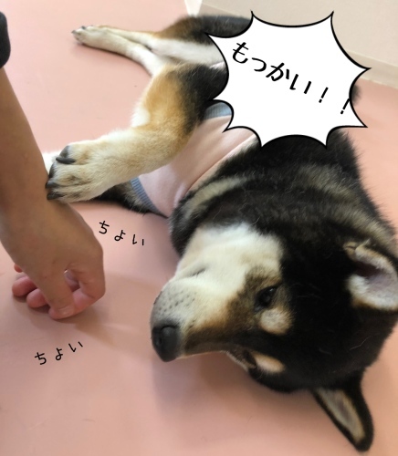 トレーニングブログ_f0357682_21194765.jpeg