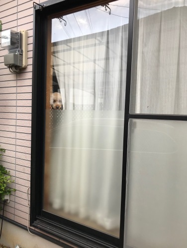 a0216583_23381559.jpeg