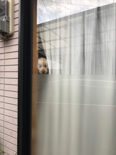 a0216583_23381924.jpeg