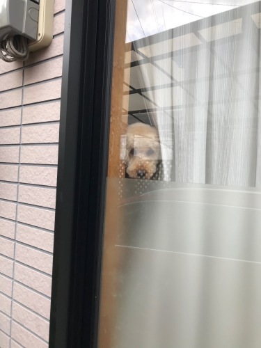 a0216583_23382319.jpeg