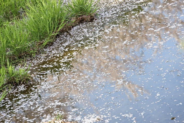 f0350585_21533117.jpg