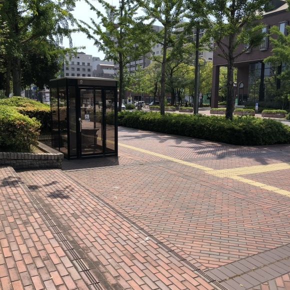 明日は楽市。6月のスケジュール_a0065000_13431498.jpeg