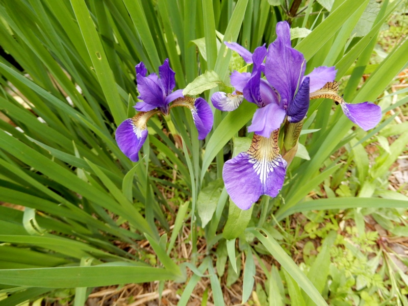e0025300_21571799.jpg