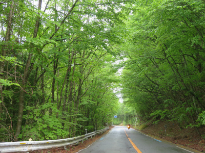 c0125501_22590840.jpg