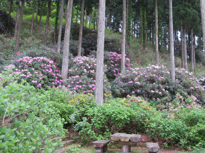 c0125501_22592239.jpg