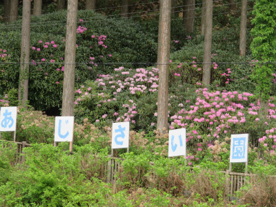 c0125501_23015446.jpg