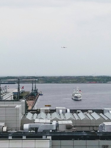 a0057402_11293942.jpg