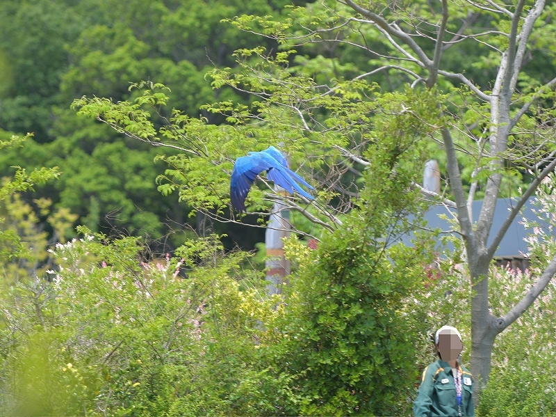 a0164204_12224754.jpg
