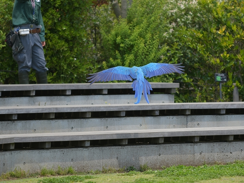 a0164204_12293818.jpg