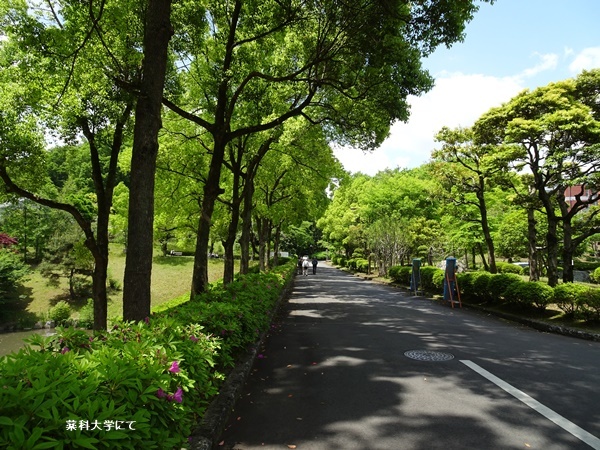 多摩丘陵を散策_c0051105_18105888.jpg